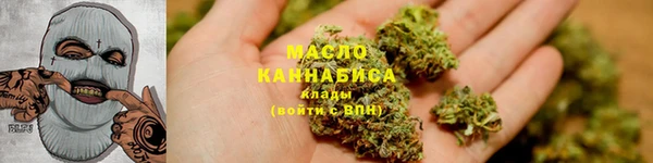 индика Баксан