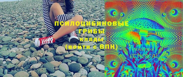 индика Баксан