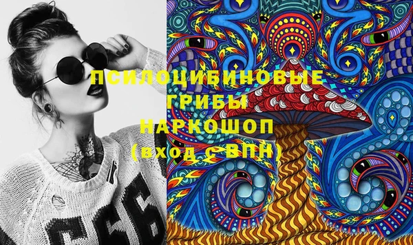 индика Баксан