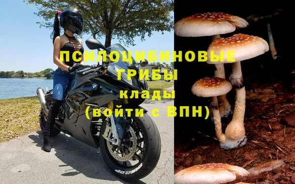 индика Баксан