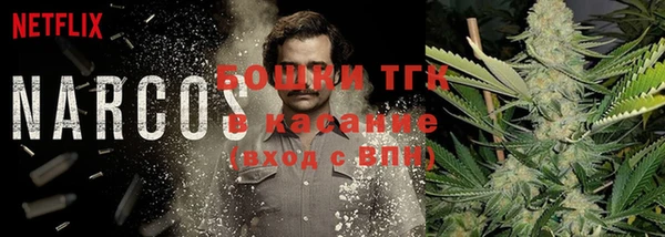 ПСИЛОЦИБИНОВЫЕ ГРИБЫ Балахна