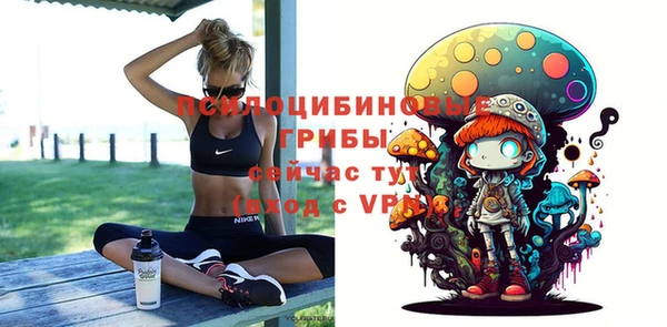 ПСИЛОЦИБИНОВЫЕ ГРИБЫ Балахна