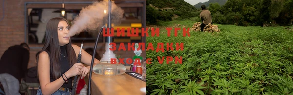 индика Баксан