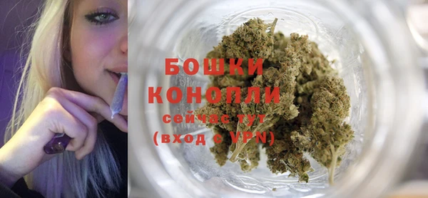 стаф Белокуриха